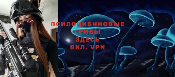 мдпв Зеленодольск