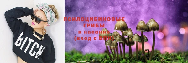 мдпв Зеленодольск