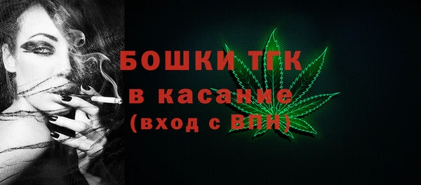 мдпв Зеленодольск