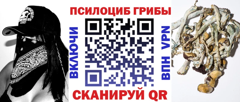 Купить где  Ильский  Галлюциногенные грибы мухоморы 
